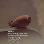 دانلود آهنگ بماند (ریمیکس رپ دپ) از تتلو، ناجی، علی سورنا، ایپکور، بهرام